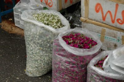 COMERCIO - CAPULLO FLOR